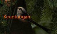 Keuntungan Menggunakan Spotbet untuk Taruhan Olahraga!