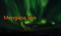 Mengapa Spotbet Menjadi Favorit di Kalangan Petaruh Berpengalaman?