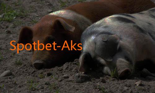 Spotbet-Aksi Spektakuler di Liga Indonesia 2025: Gol Terbaik Musim Ini!