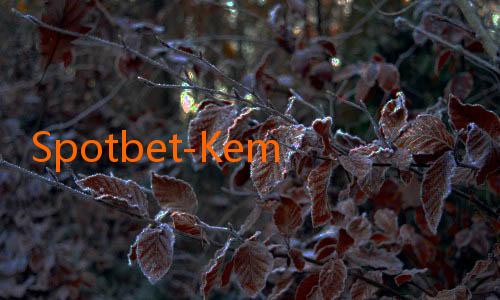 Spotbet-Kemenangan Dramatis di Liga Indonesia 2025: Momen yang Tak Terlupakan!
